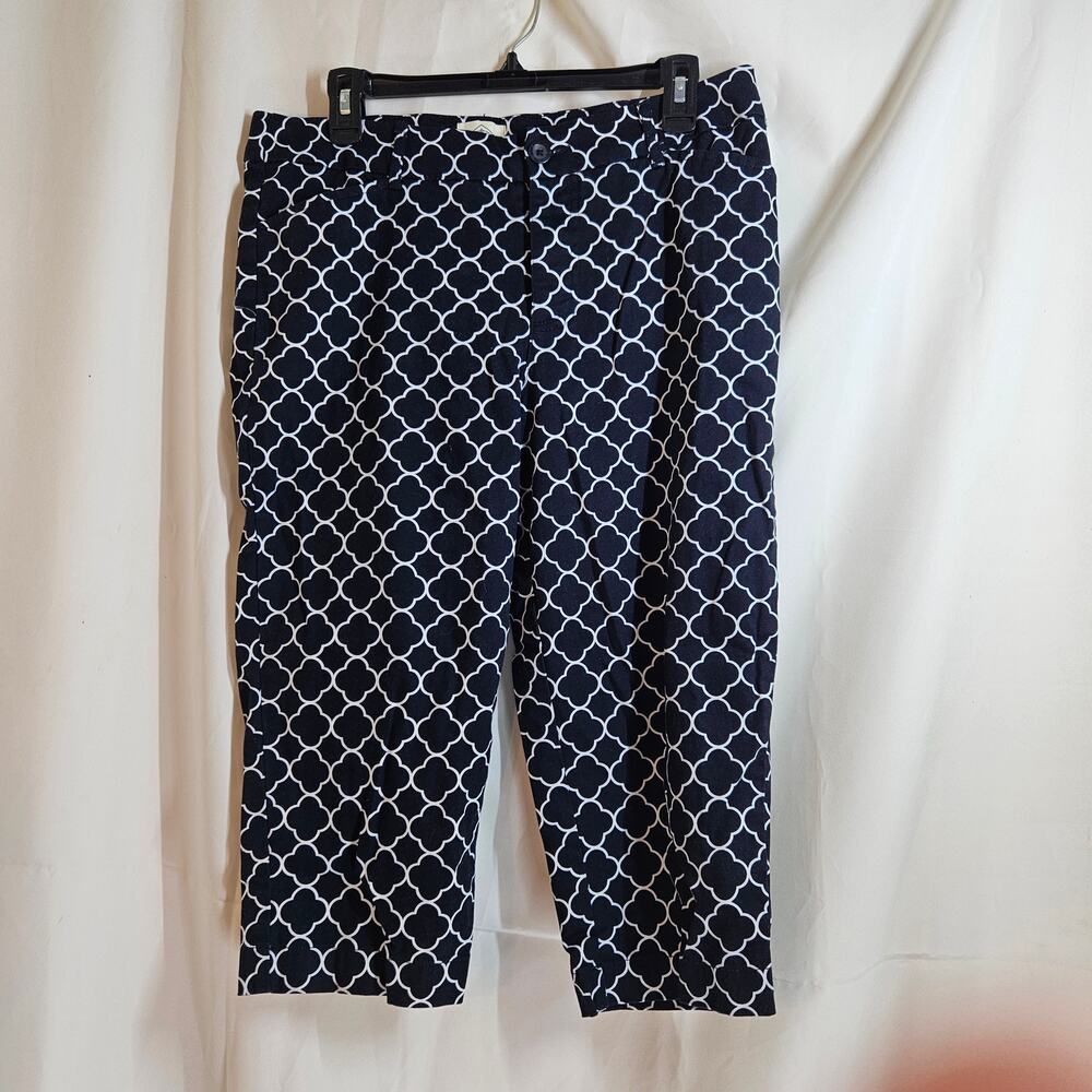 St, Johns Bay Carpi pants Size 12